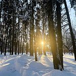 Беличий парк в лучах закатного солнца