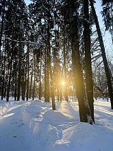 Беличий парк в лучах закатного солнца