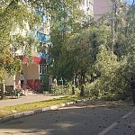 На улице Краснознамённая, д. 18, начались работы по спилу деревьев.