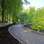 Гдава города проверил работы в Сквере Победы