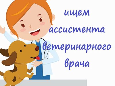Администратор-ассистент ветеринарного  врача