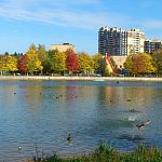 Осенние краски на Городском озере до его реставрации — Краснознаменск