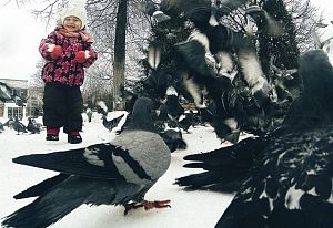 Голубиная площадь