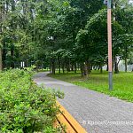 Прогулка по Беличьему парку