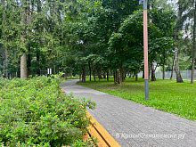 Прогулка по Беличьему парку