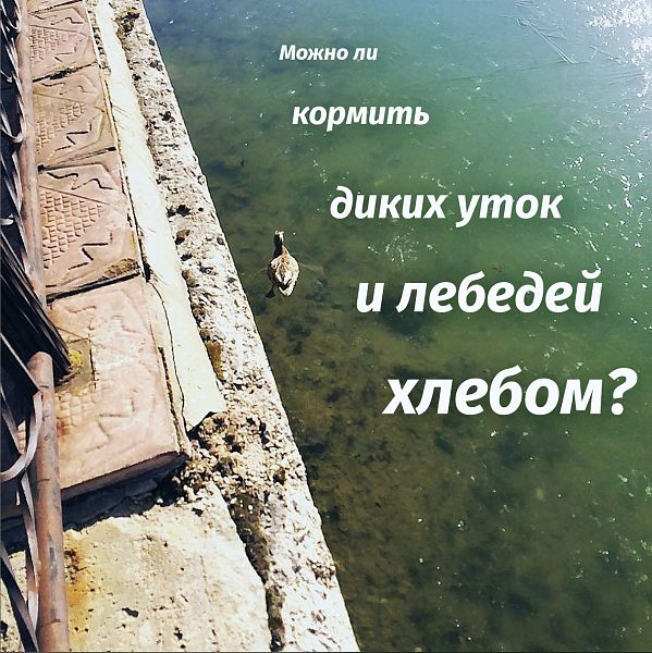 10cd09114838ebe14b67b887f0f7d796.jpg