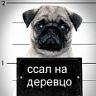 Автор: SERGik