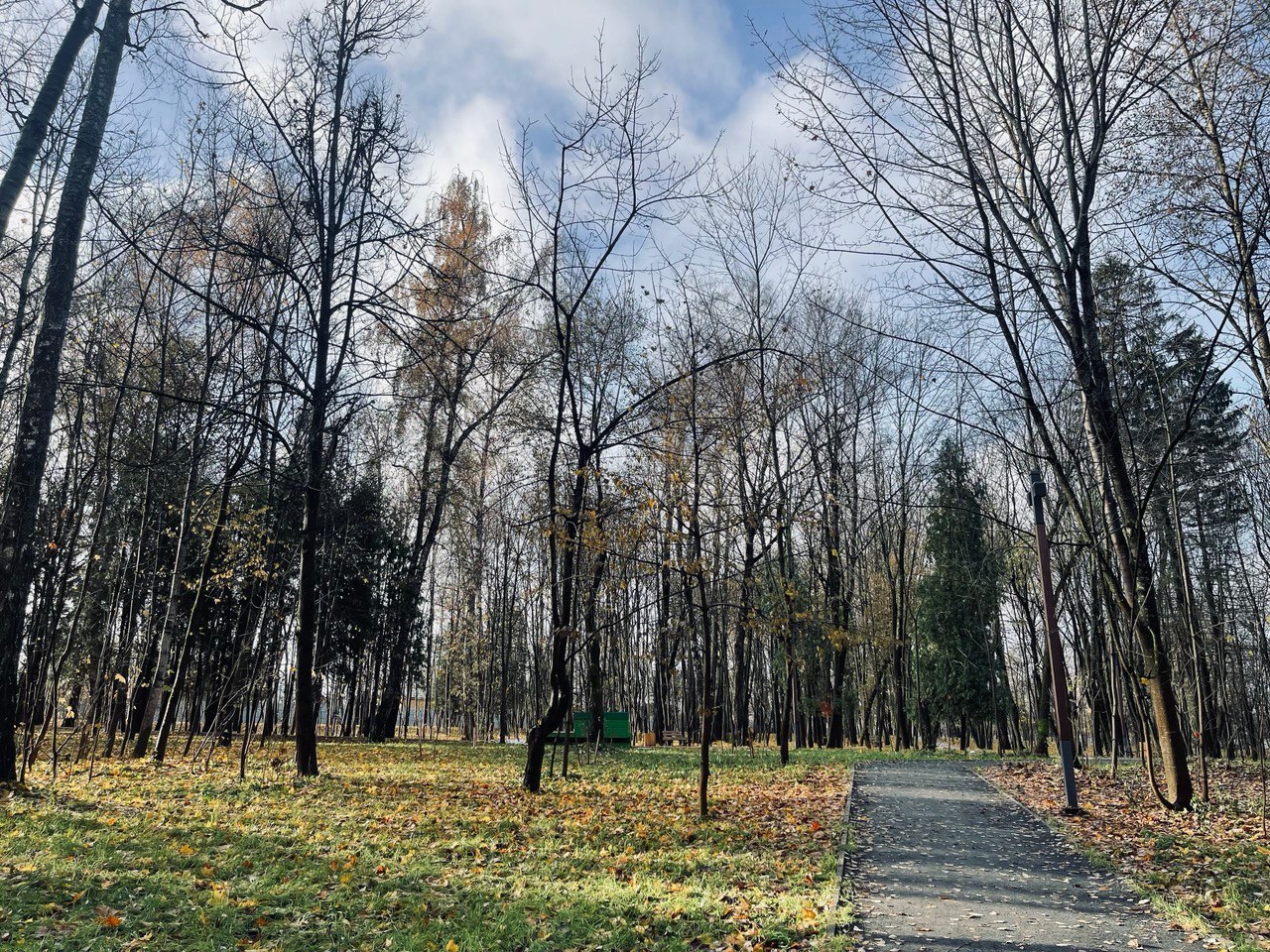 Прогулка по городу — Краснознаменск