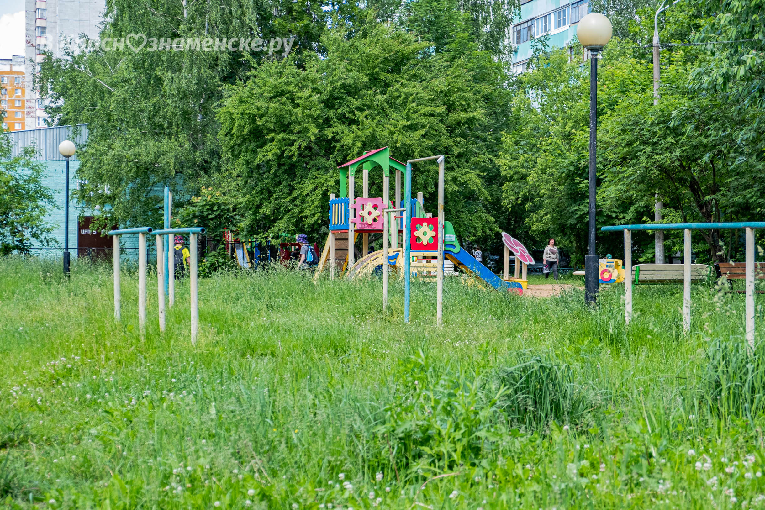 Довольны ли вы тем, как косят траву в вашем дворе и косят ли