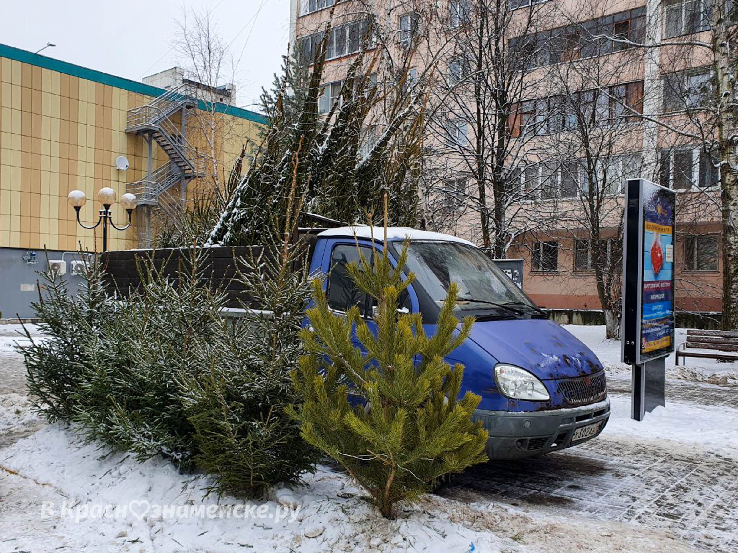 Уже совсем скоро у городского рынка заработает ёлочный базар