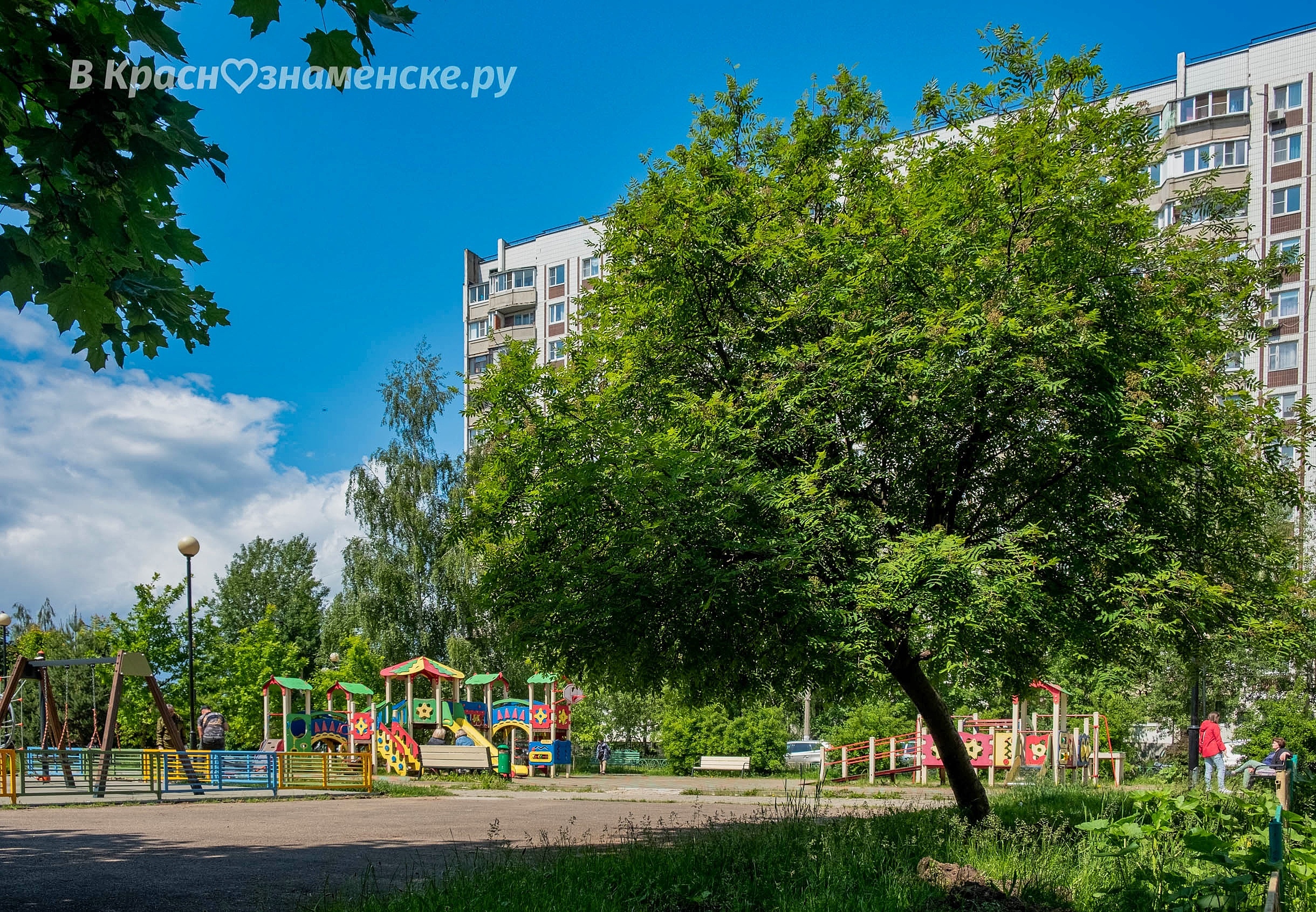 Доброе утро, Краснознаменск. Продуктивного дня.