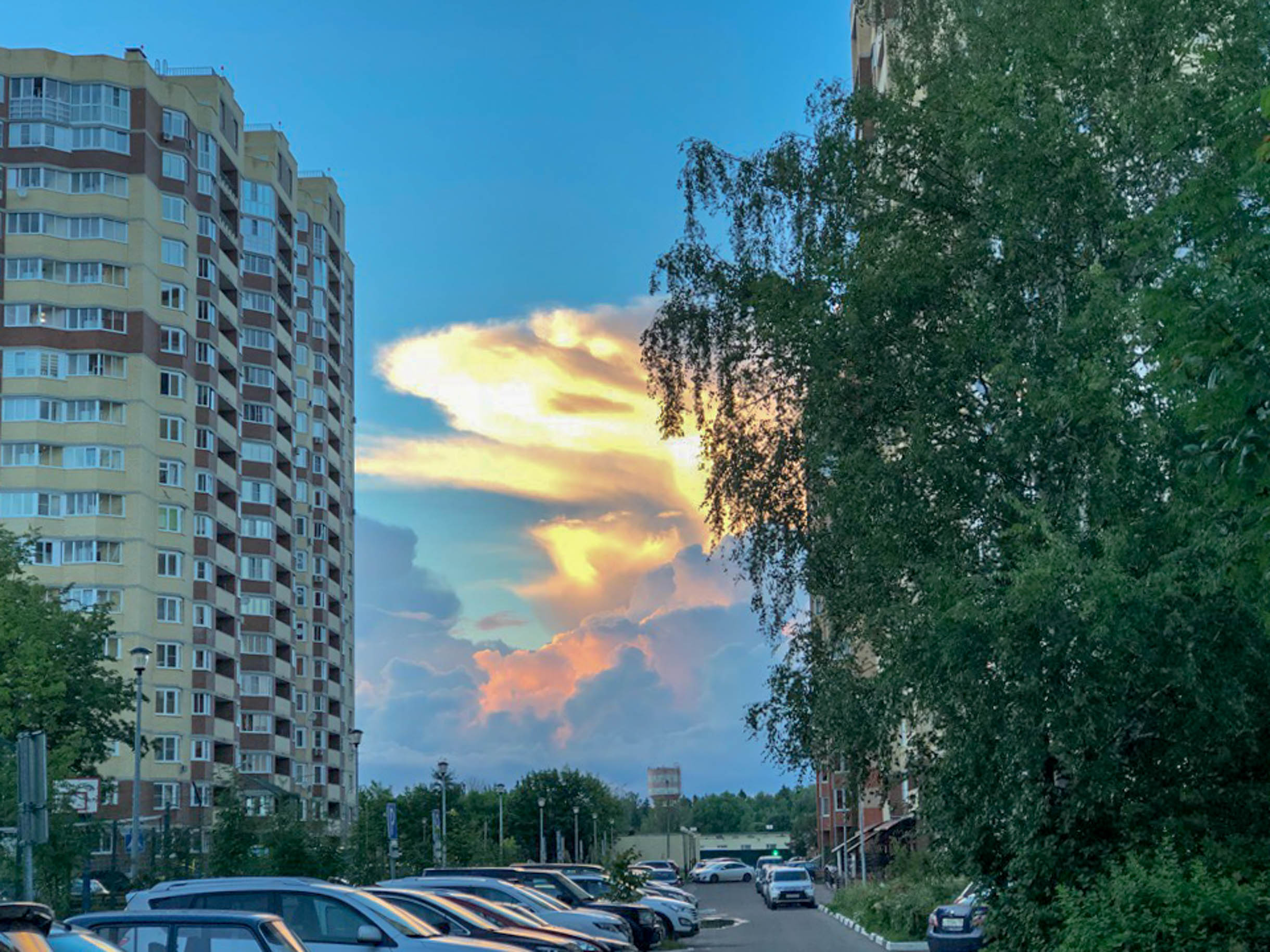 фото: Ксюша Захарова