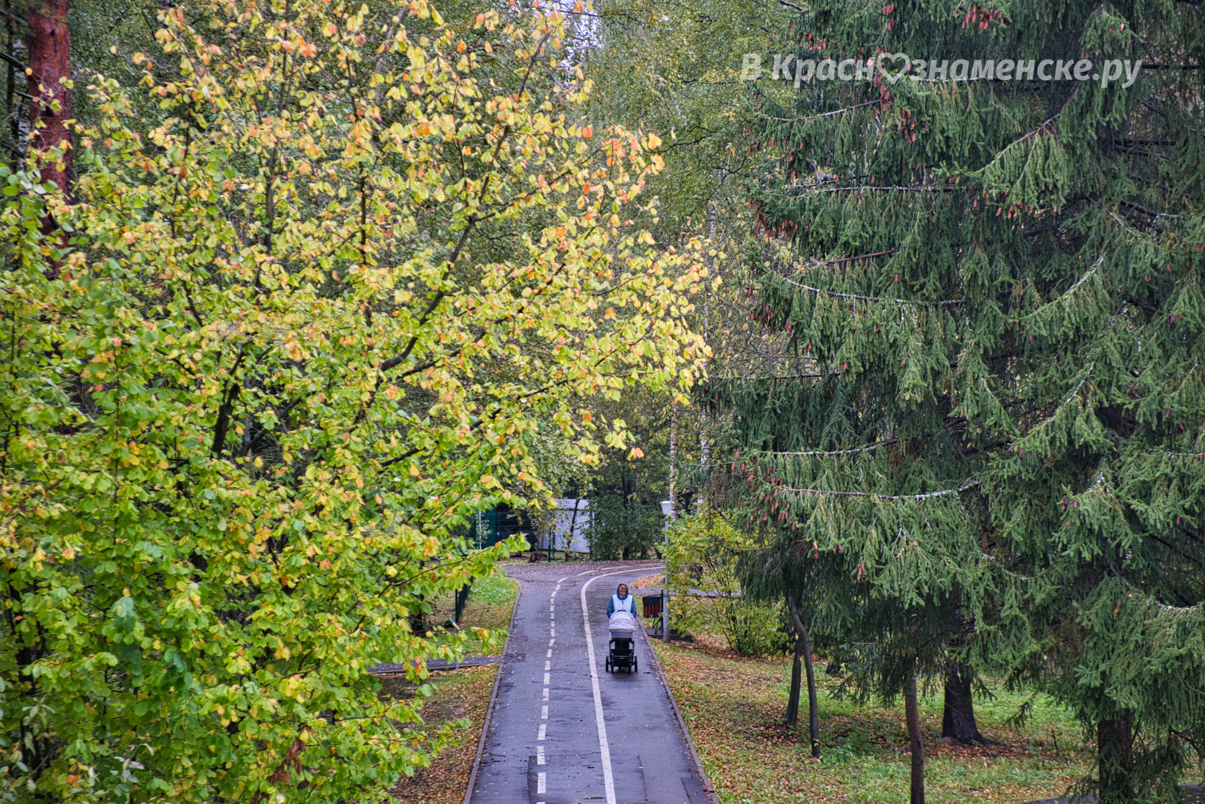 Прогулка по городу ☂ — Краснознаменск