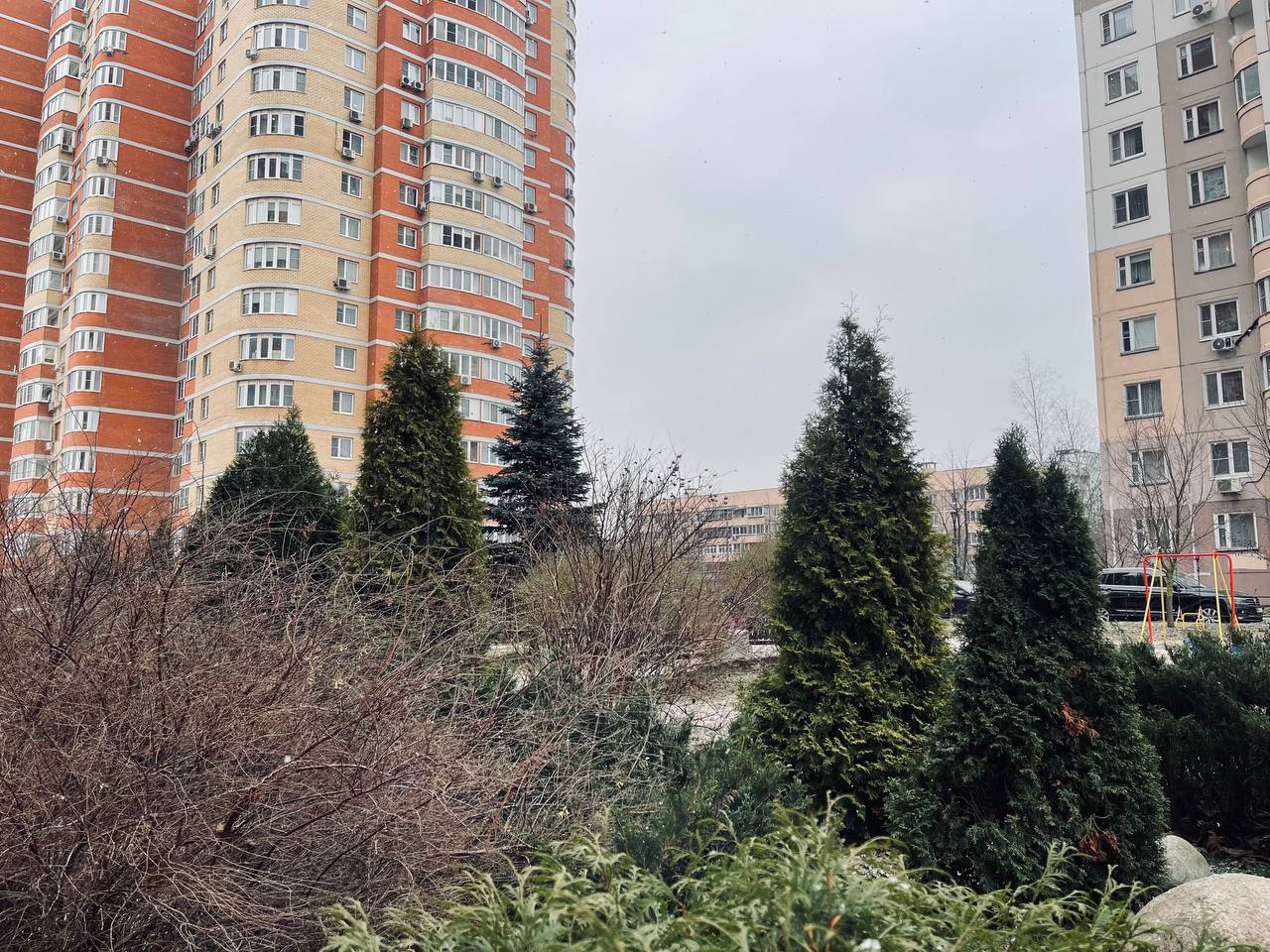 Прогулка по городу. — Краснознаменск