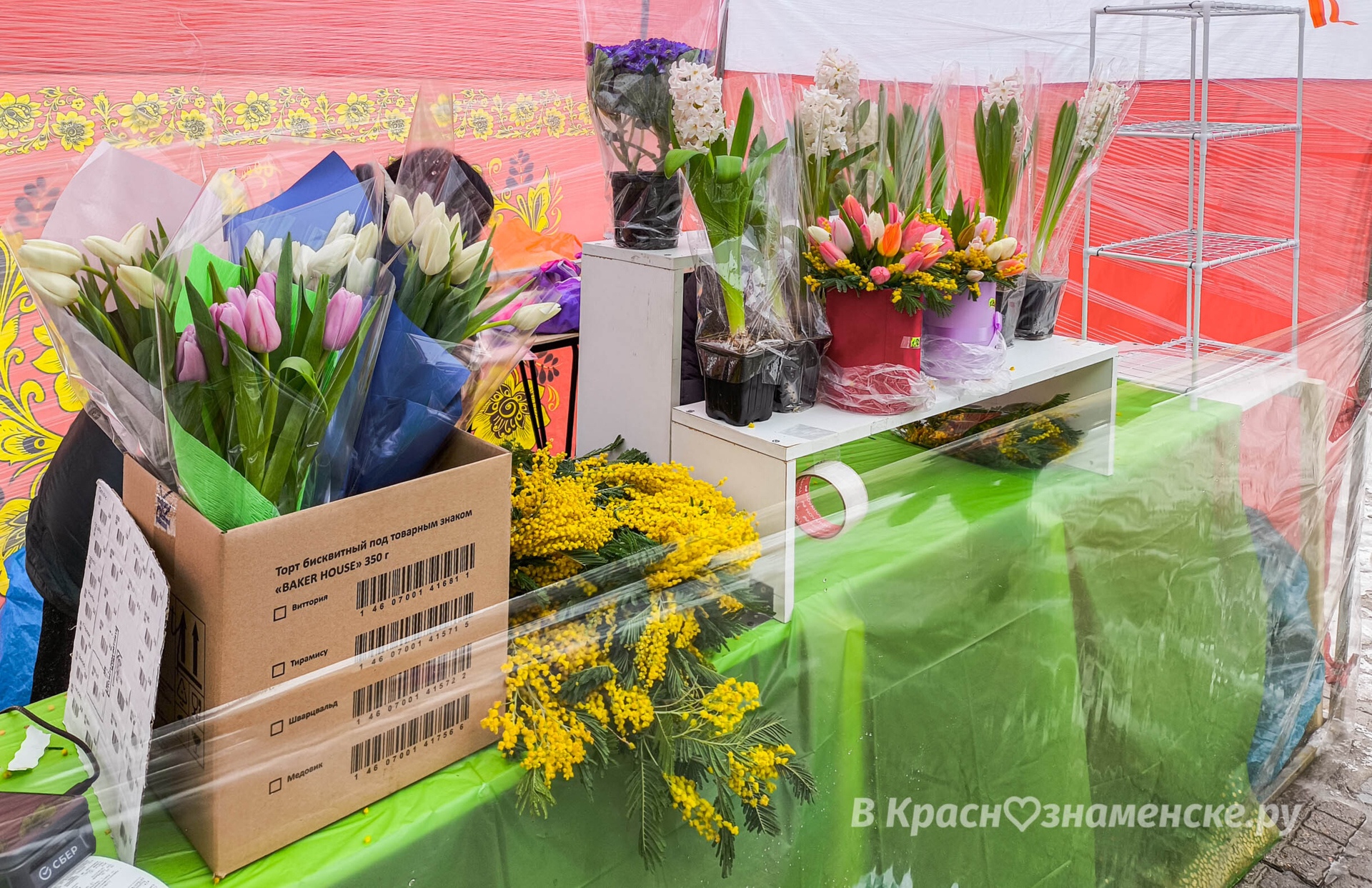 У Центрального рынка заработал цветочный базар.  Тюльпаны та