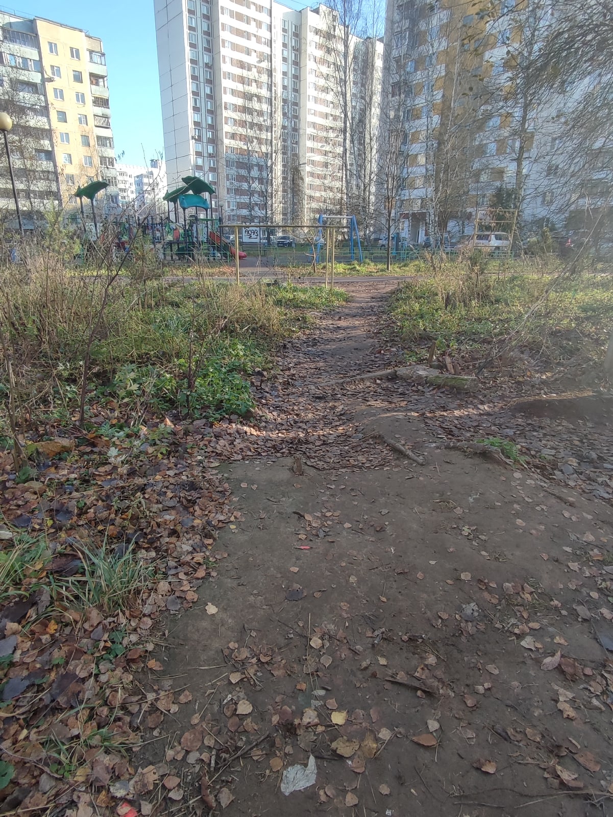 Странно что не сделали народную тропу вот в этом месте, все — Краснознаменск