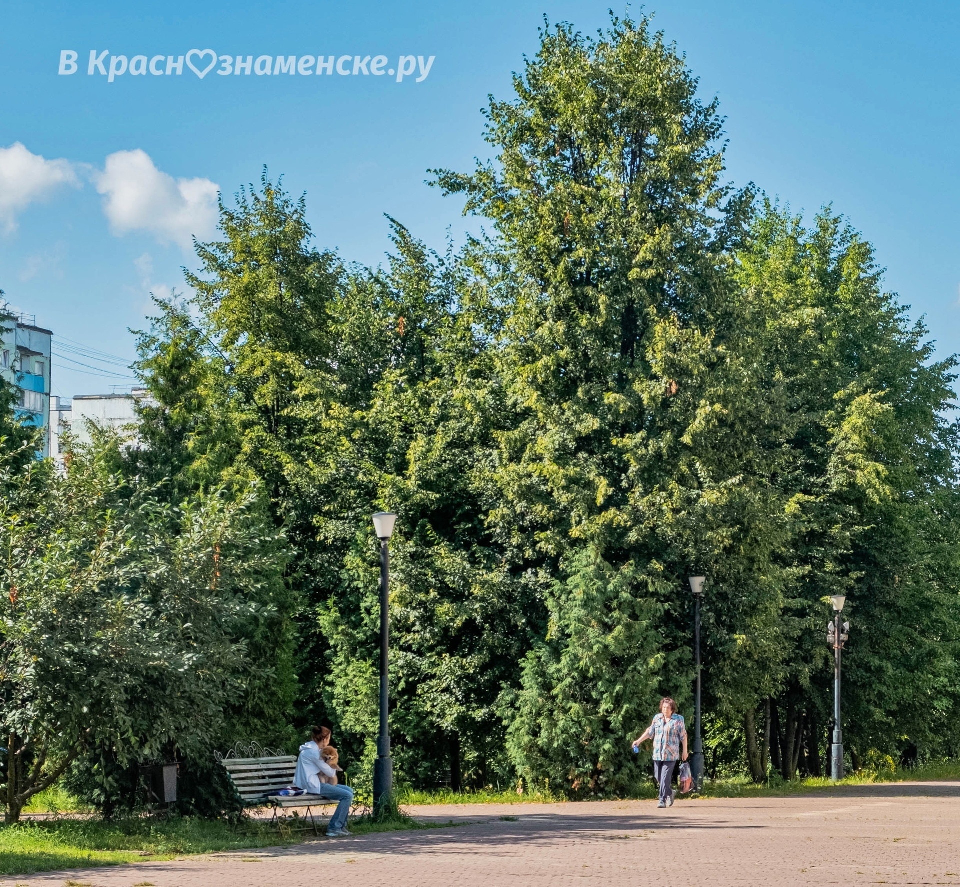 Фото 53513 — Краснознаменск