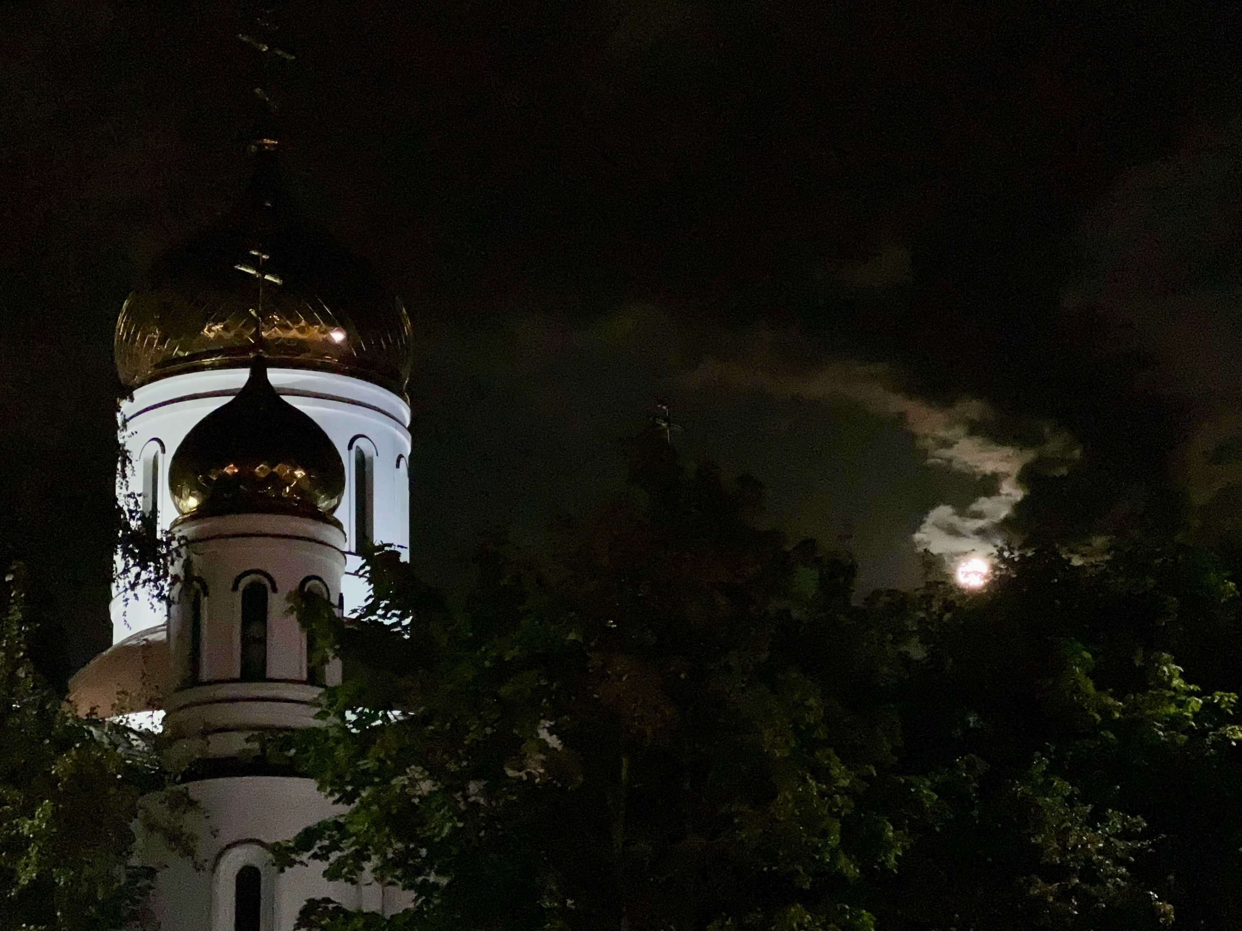 ???? Лиса Лихачева — Краснознаменск