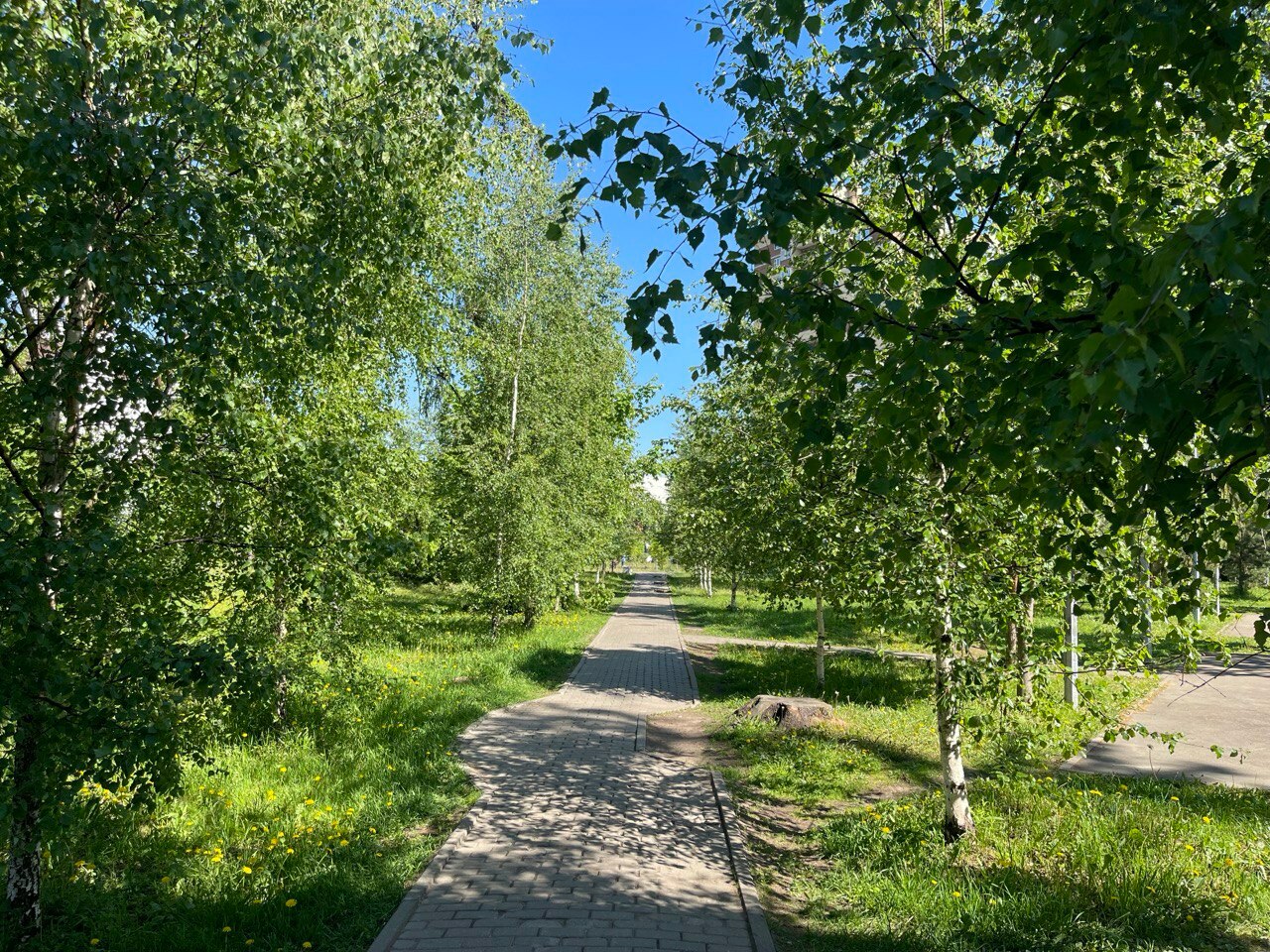 Солнечная прогулка по городу.