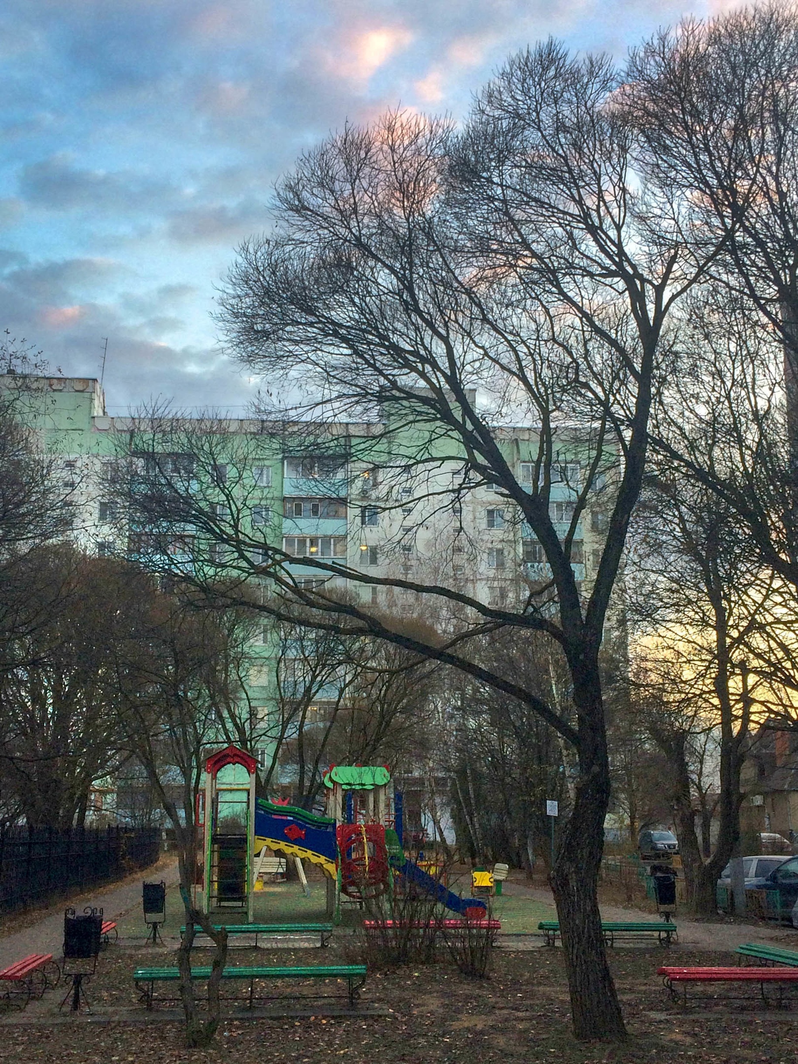 Подборка осенних фотографий от Ларисы Конюшевой