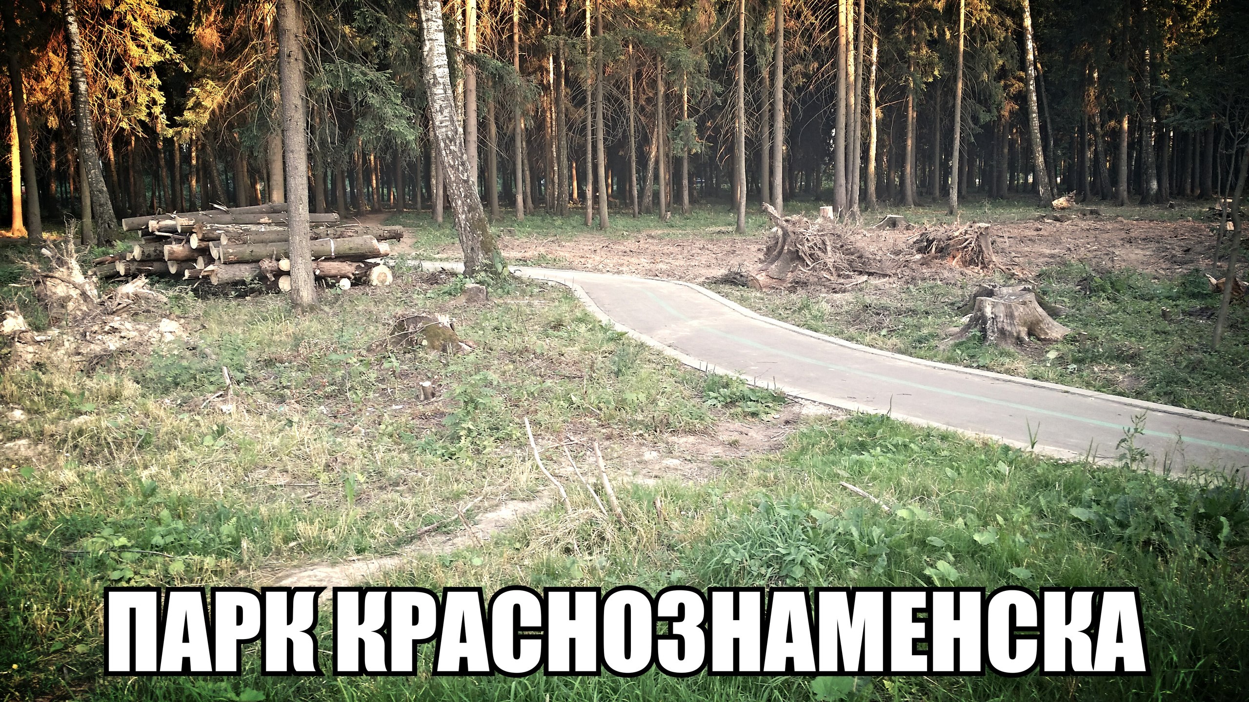VK -27992616_28032