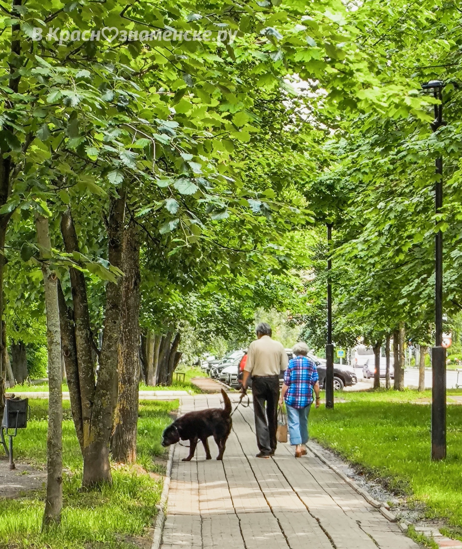 Небольшая прогулка по улицам города — Краснознаменск