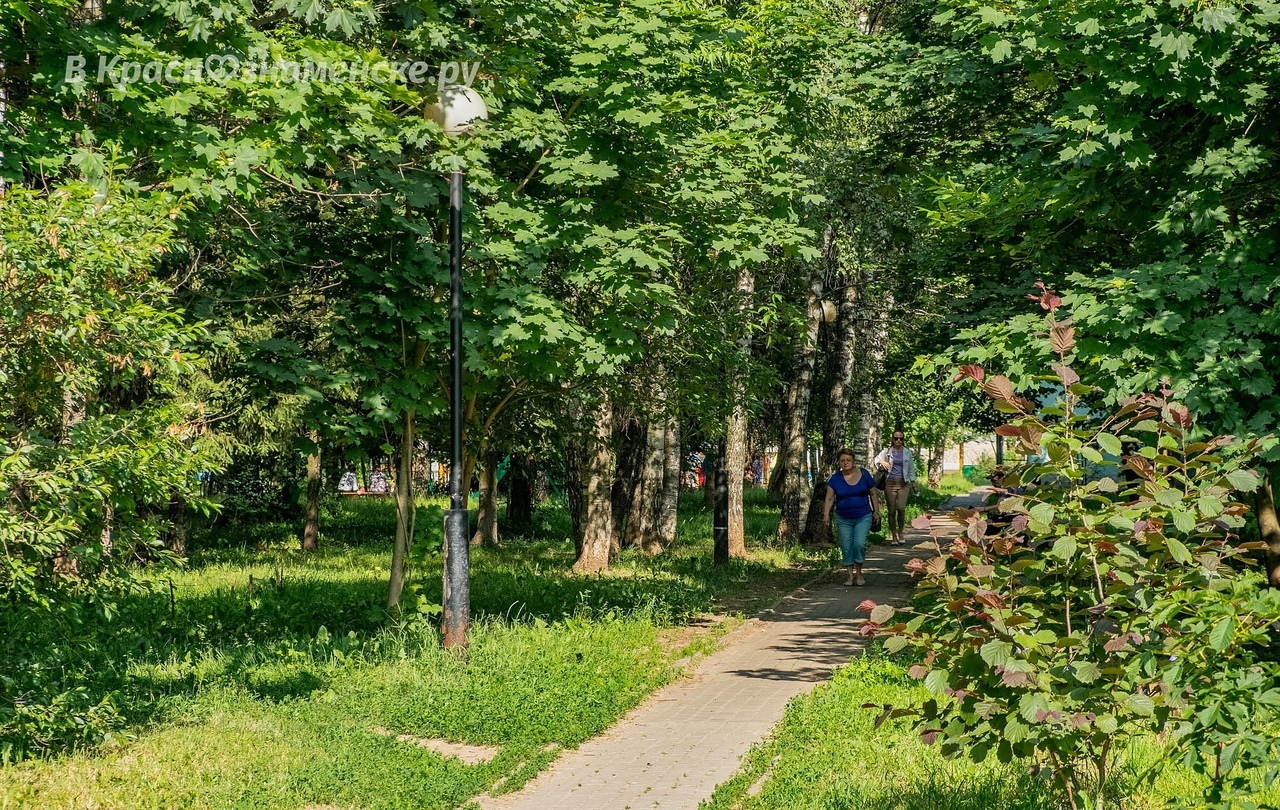 Доброе утро, Краснознаменск! Желаем вам хорошего дня)