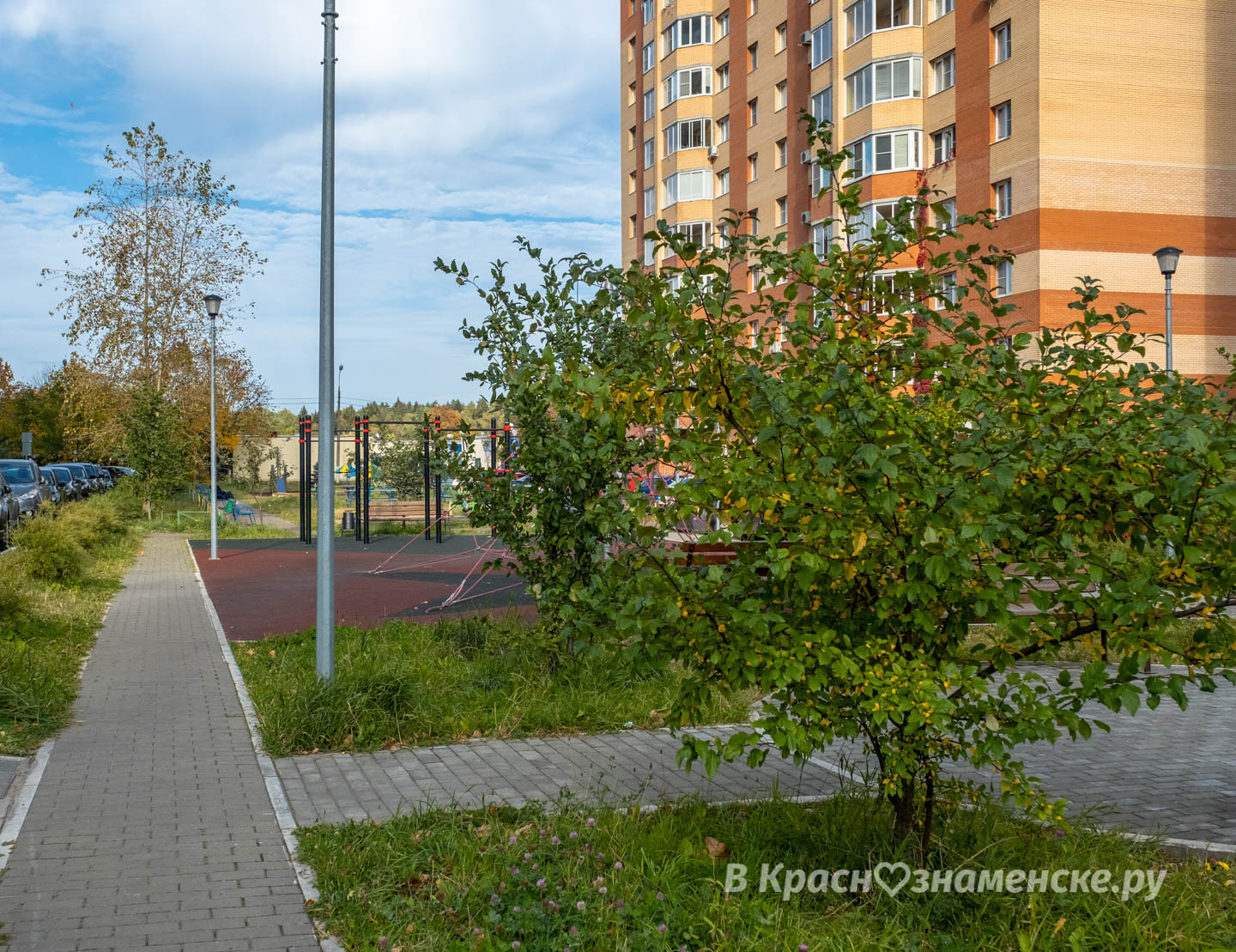 Доброе утро, Краснознаменск!  Утром, +11°…+14°, Облачно с пр
