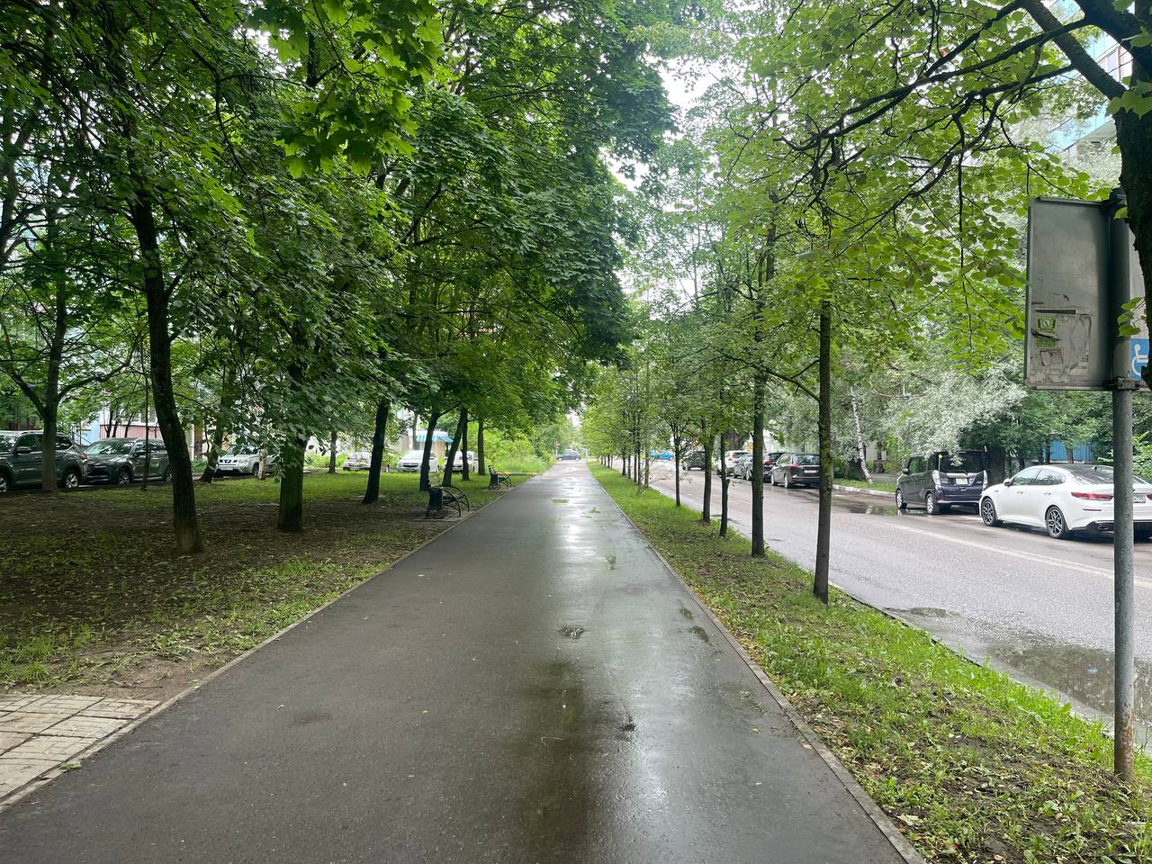 Прогулка по городу — Краснознаменск