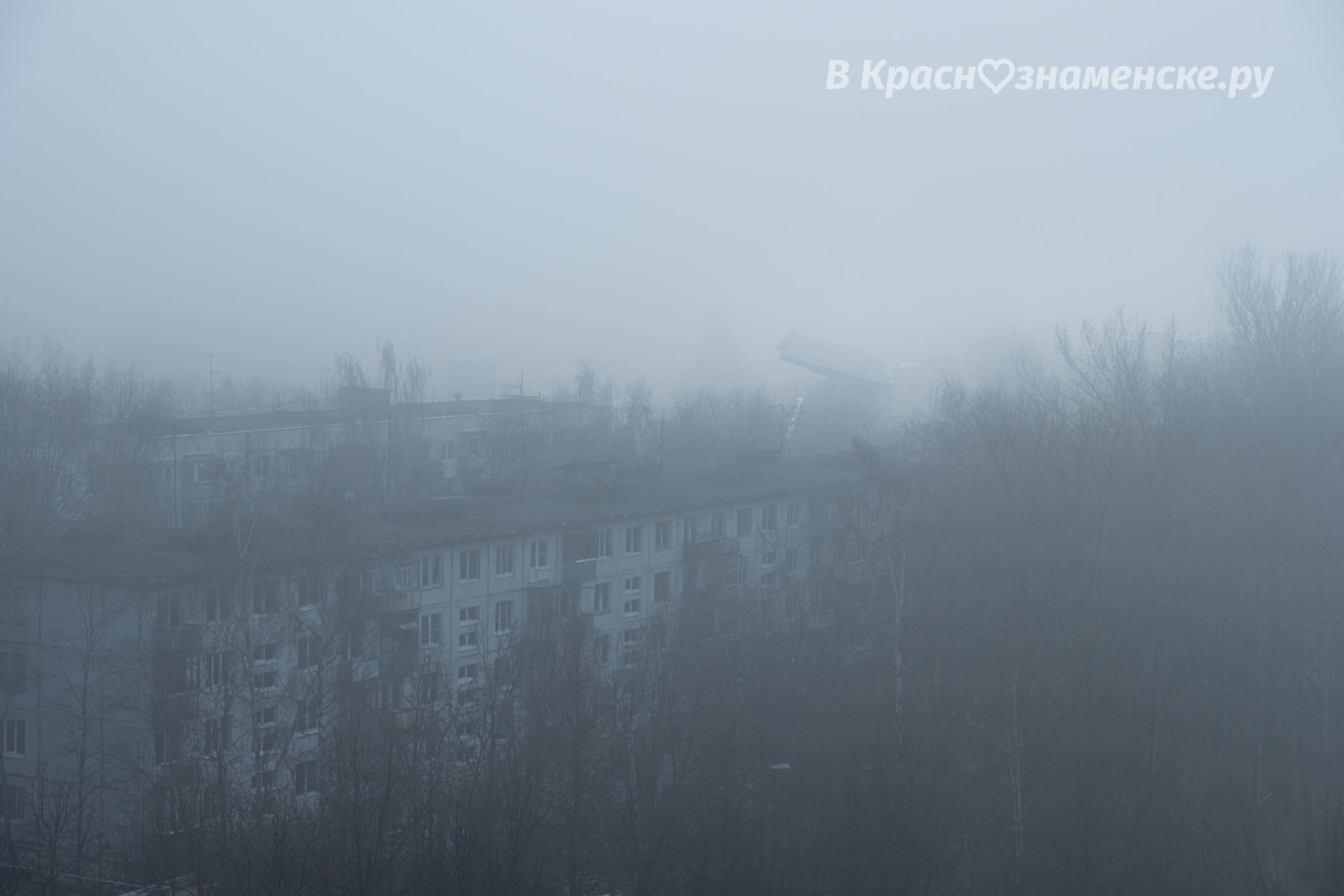 Фото 31286 — Краснознаменск