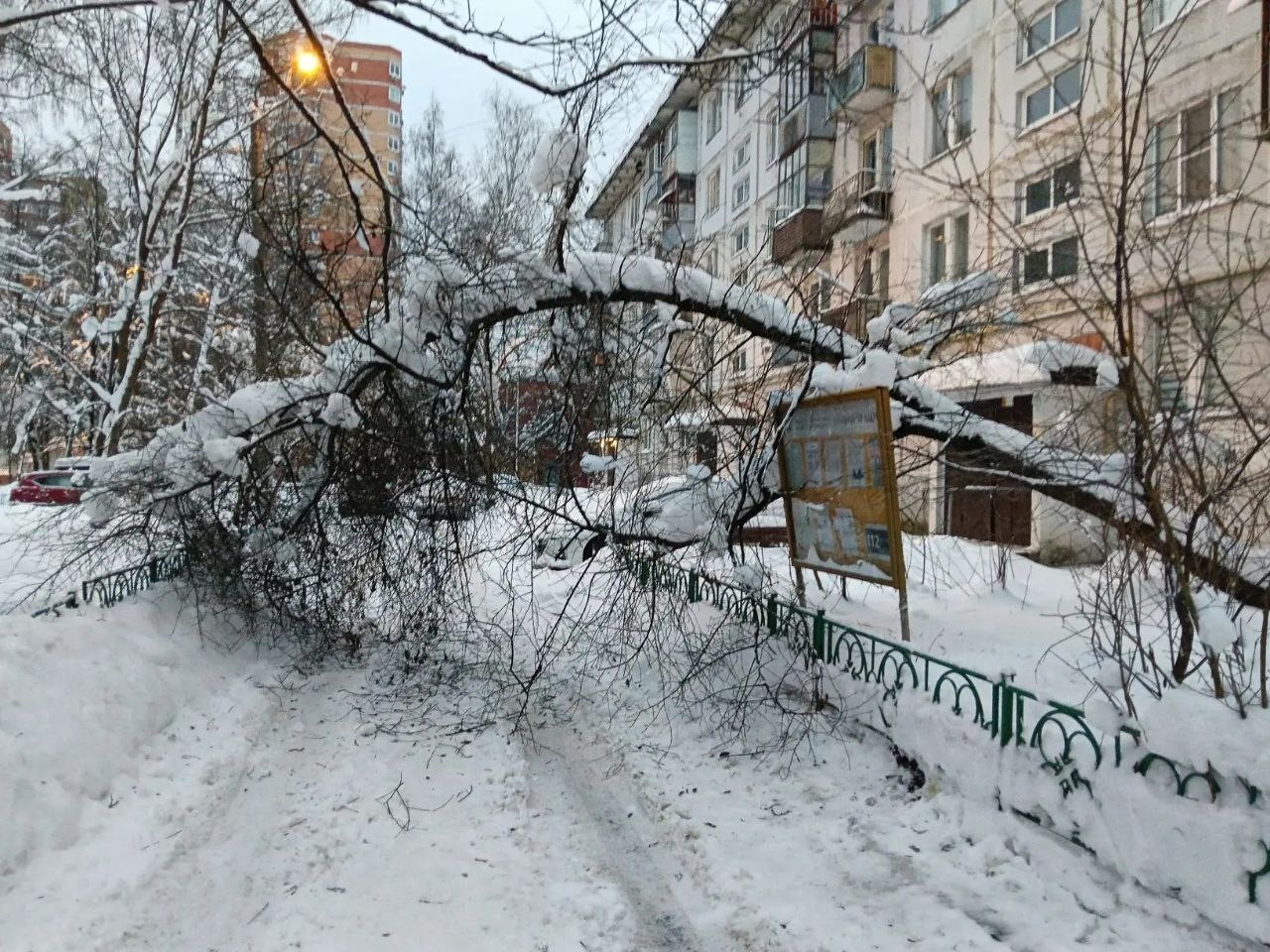 Краснознамённая 2 упало дерево на дорогу. И просим почистить