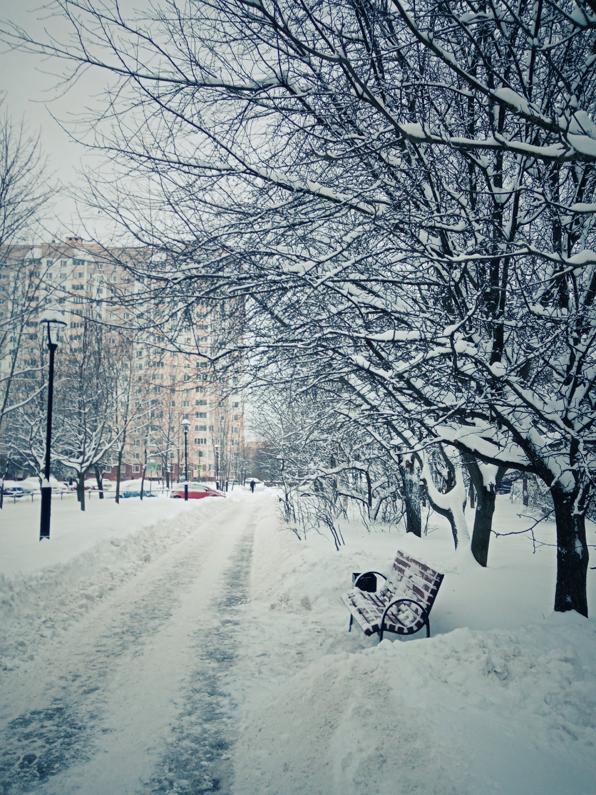 Прогулка по городу. — Краснознаменск