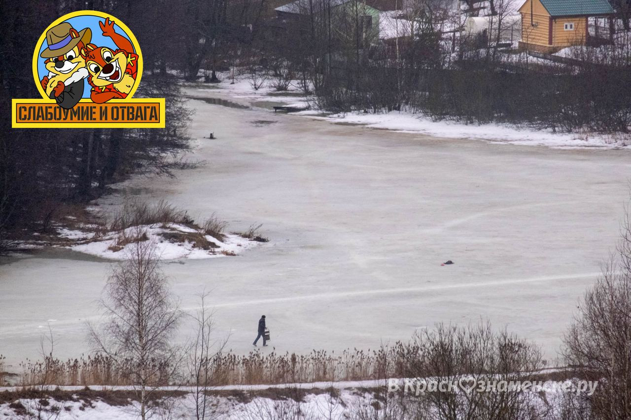 Самая дорогая рыба, водится в весенних и осенних водоёмах, п
