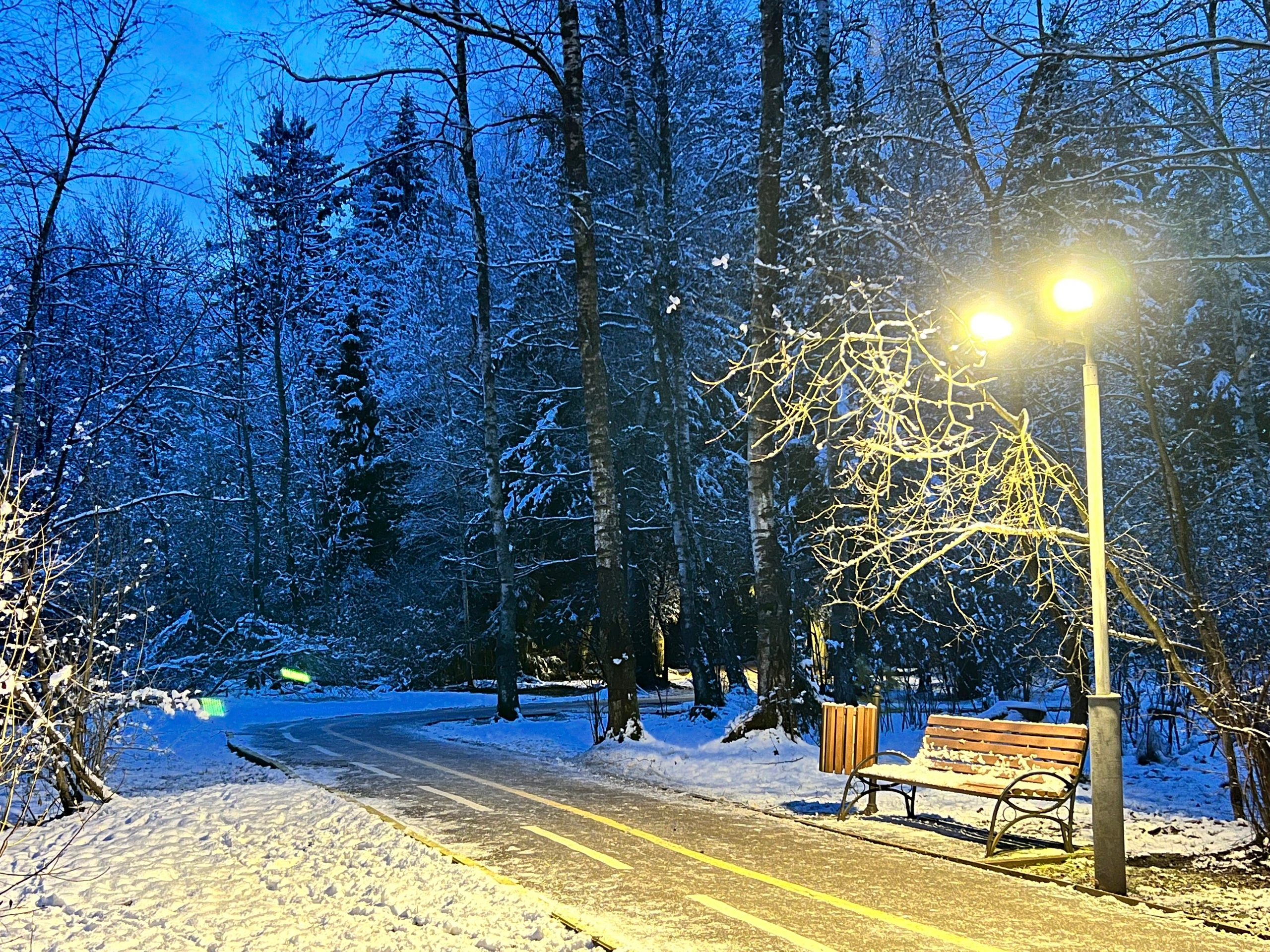 Вечер в Городском парке — Краснознаменск
