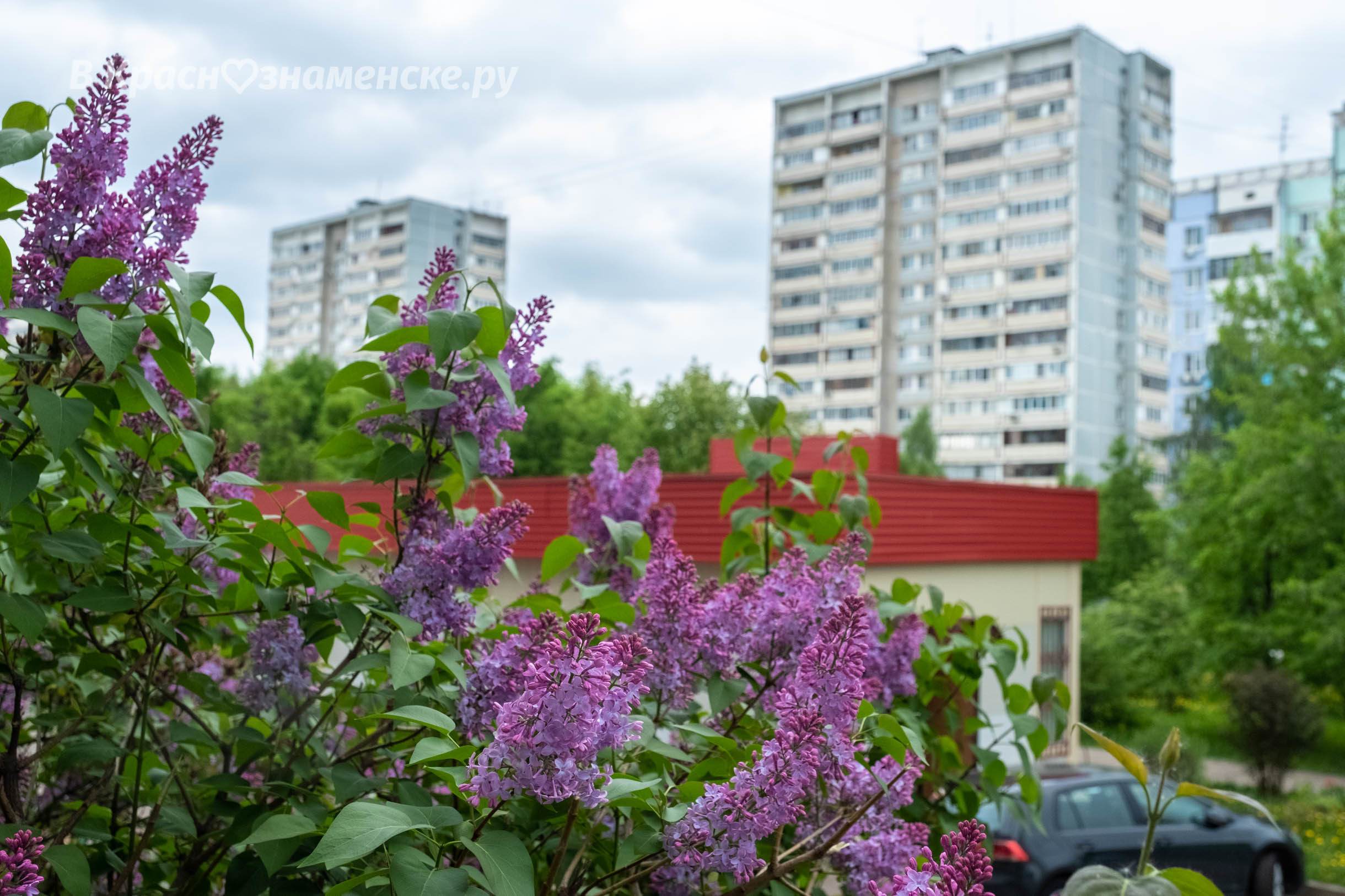 Доброе утро, Краснознаменск! ???? Утром +16°…+20°, Пасмурно, Да