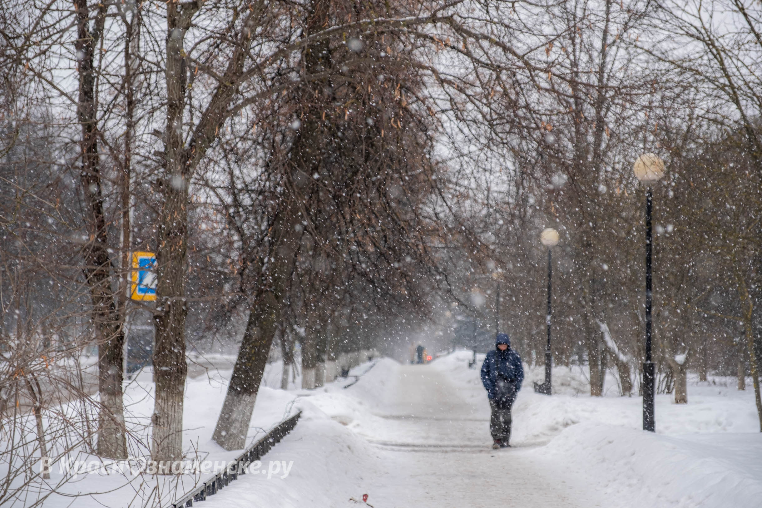 Доброе утро, Краснознаменск!❄ Утром -2°, Небольшой снег, Дав