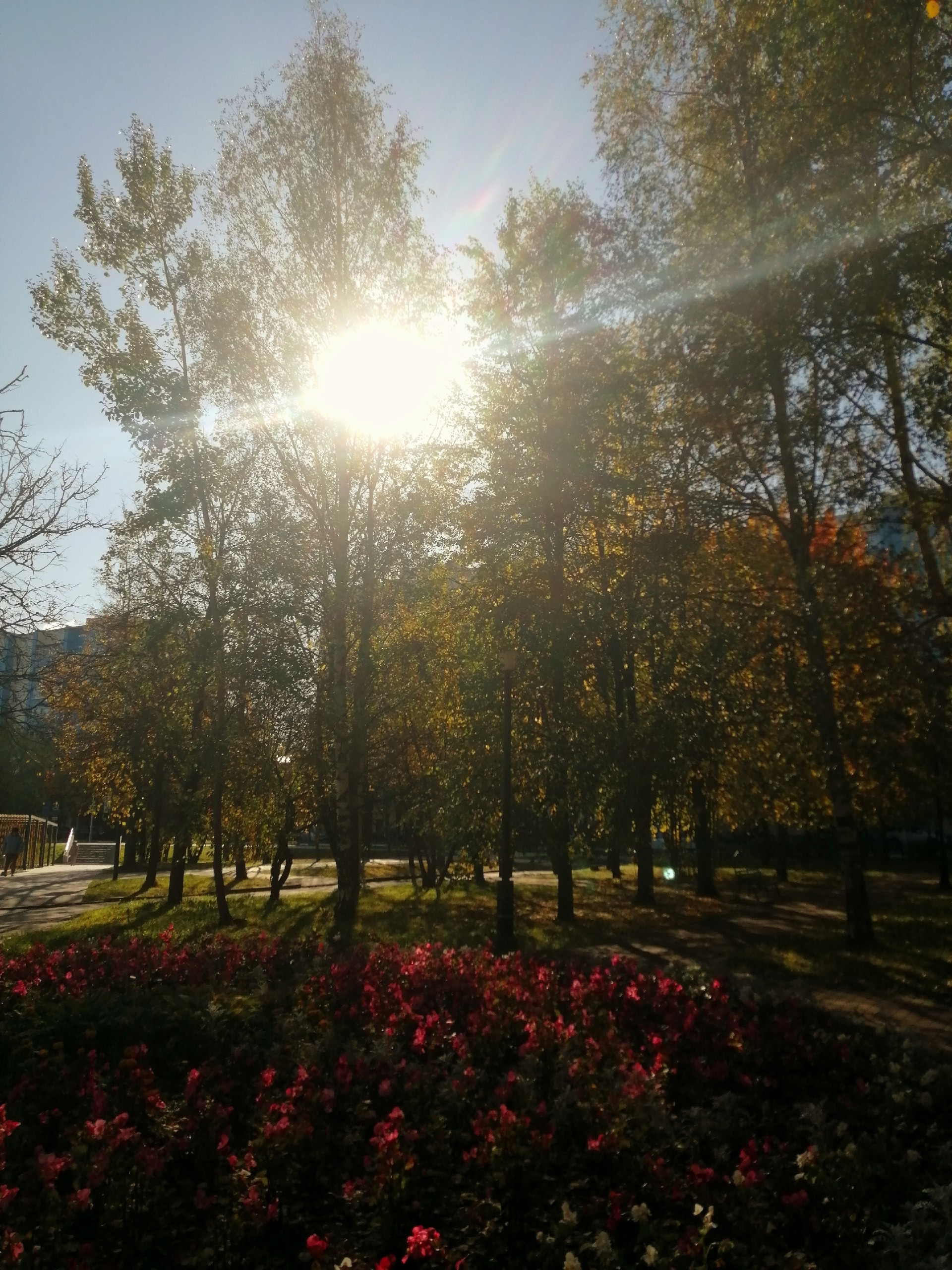Прогулка по городу  ????Наталья Меняйлова — Краснознаменск