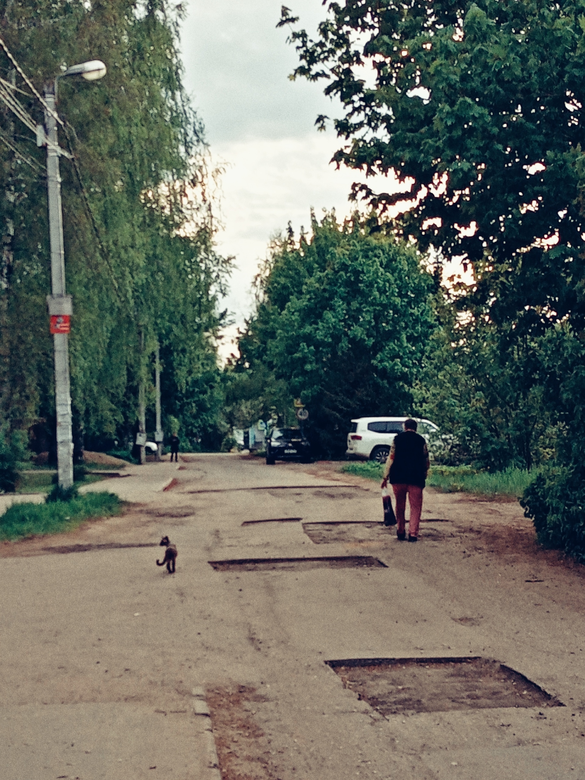 Село Сидоровское. ???? Наталья Меняйлова — Краснознаменск