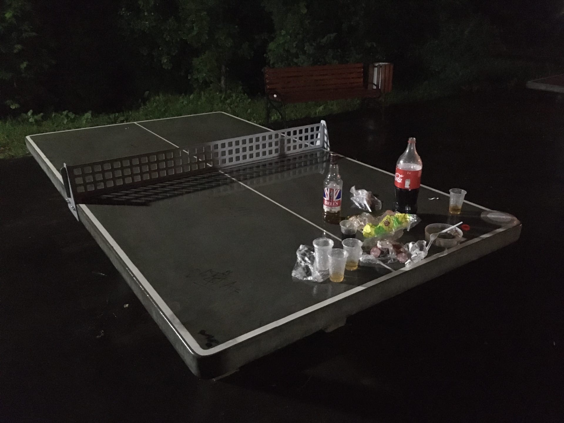 Вечереет  Свиньи в городском парке 11.06.2021 23:59