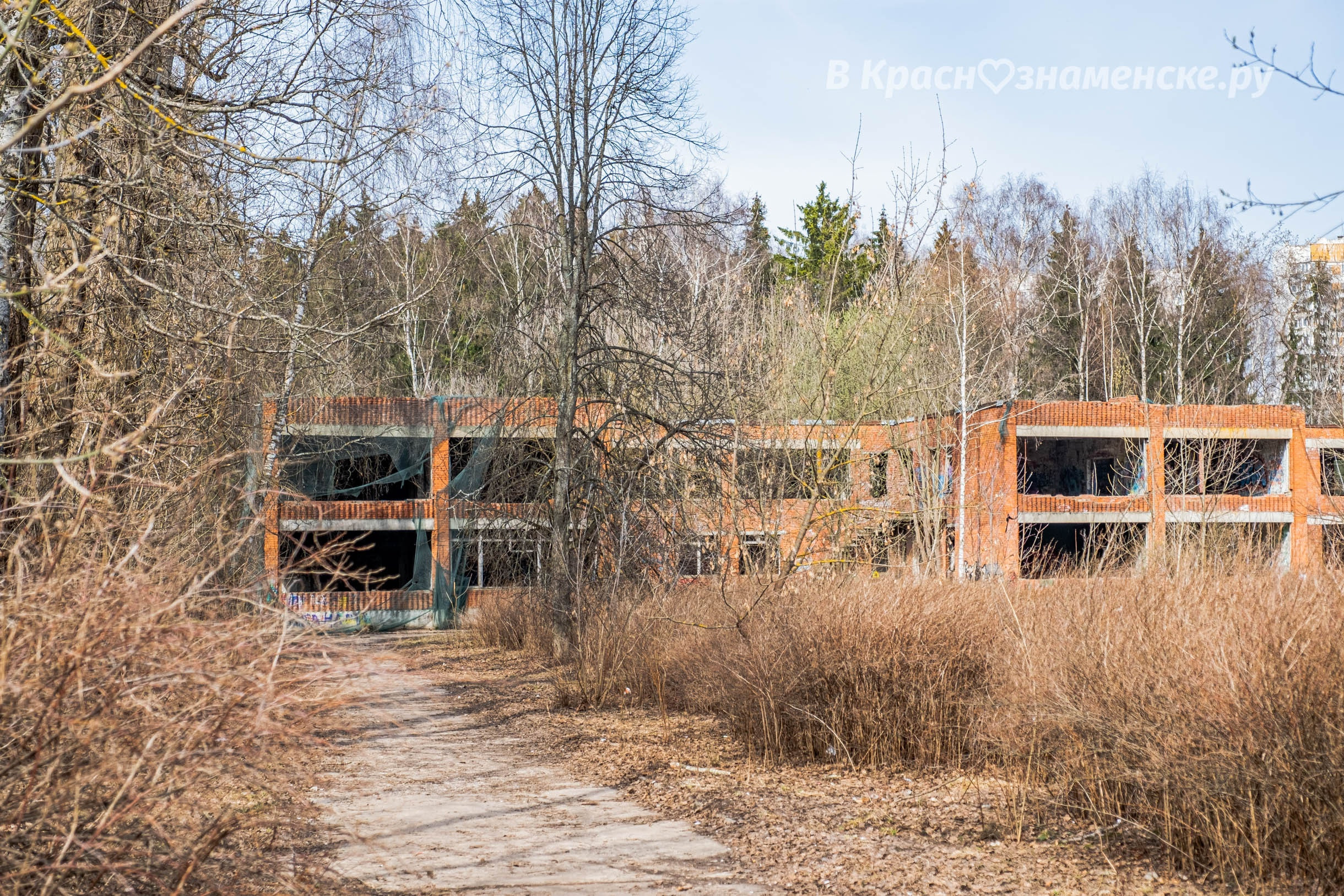 Фото 30465 — Краснознаменск