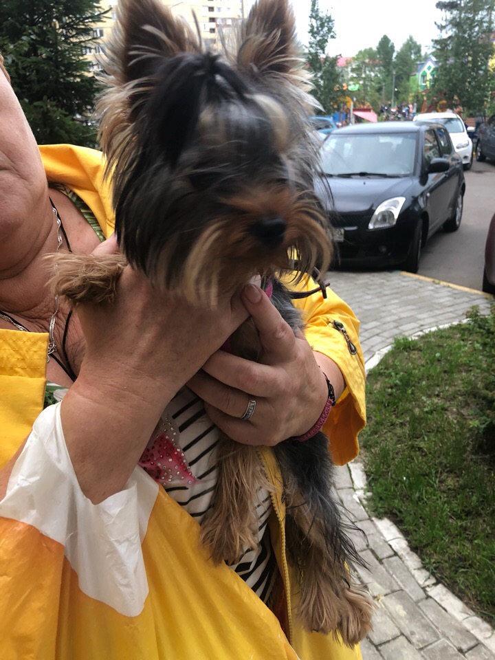 Найден мальчик , звонить по номеру 89168124749