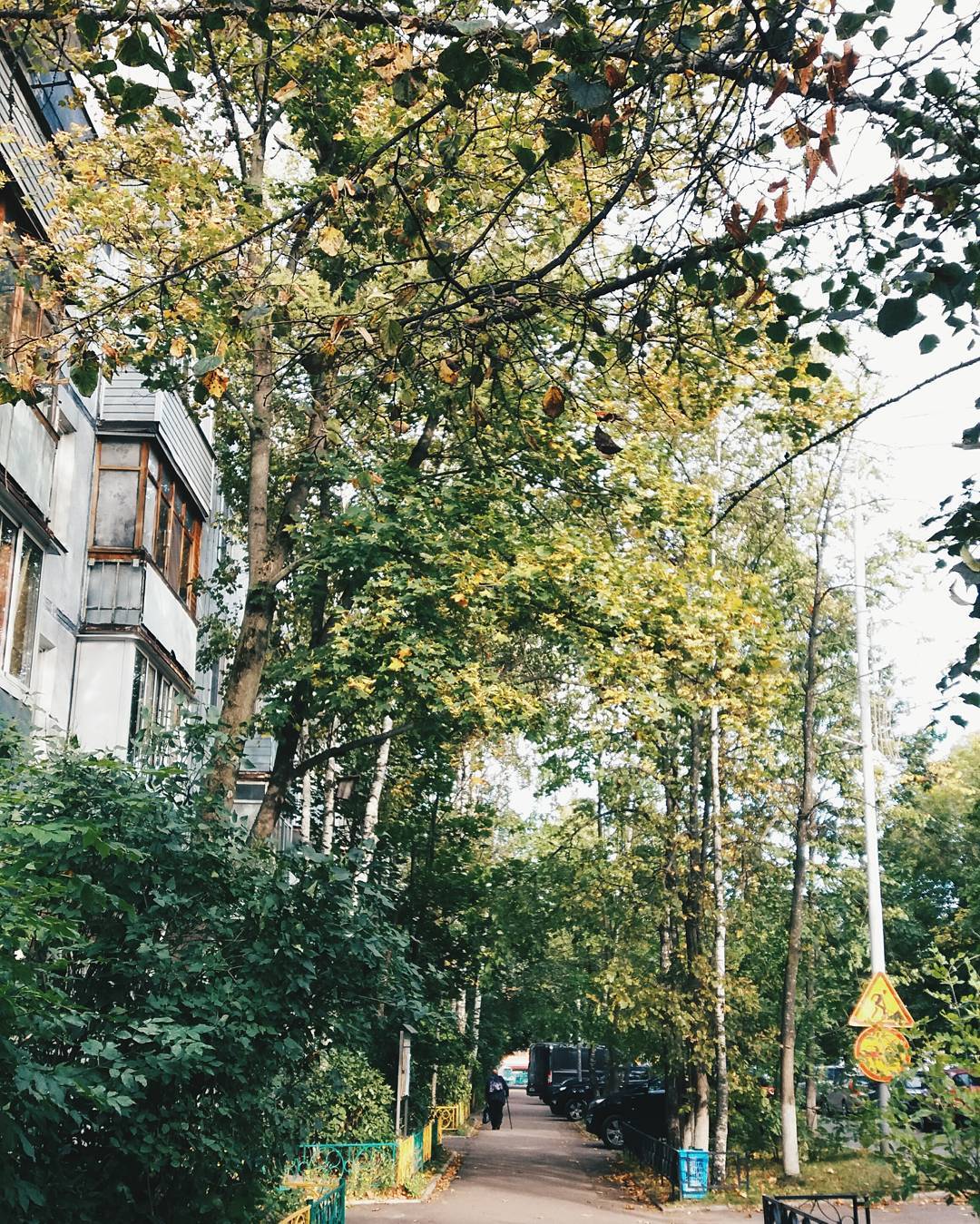 Фото Viktoria Bochkova