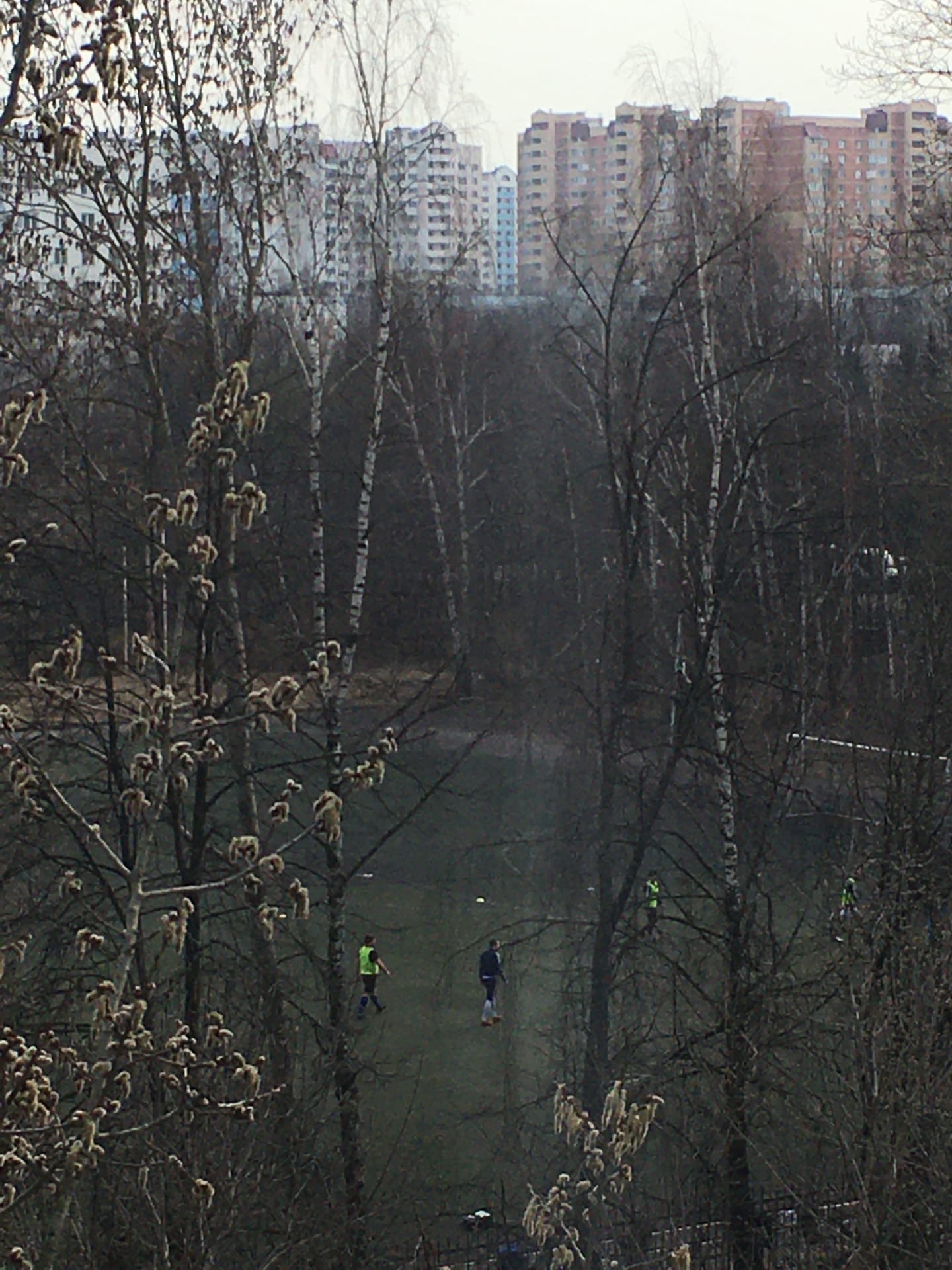 Фото 18738 — Краснознаменск