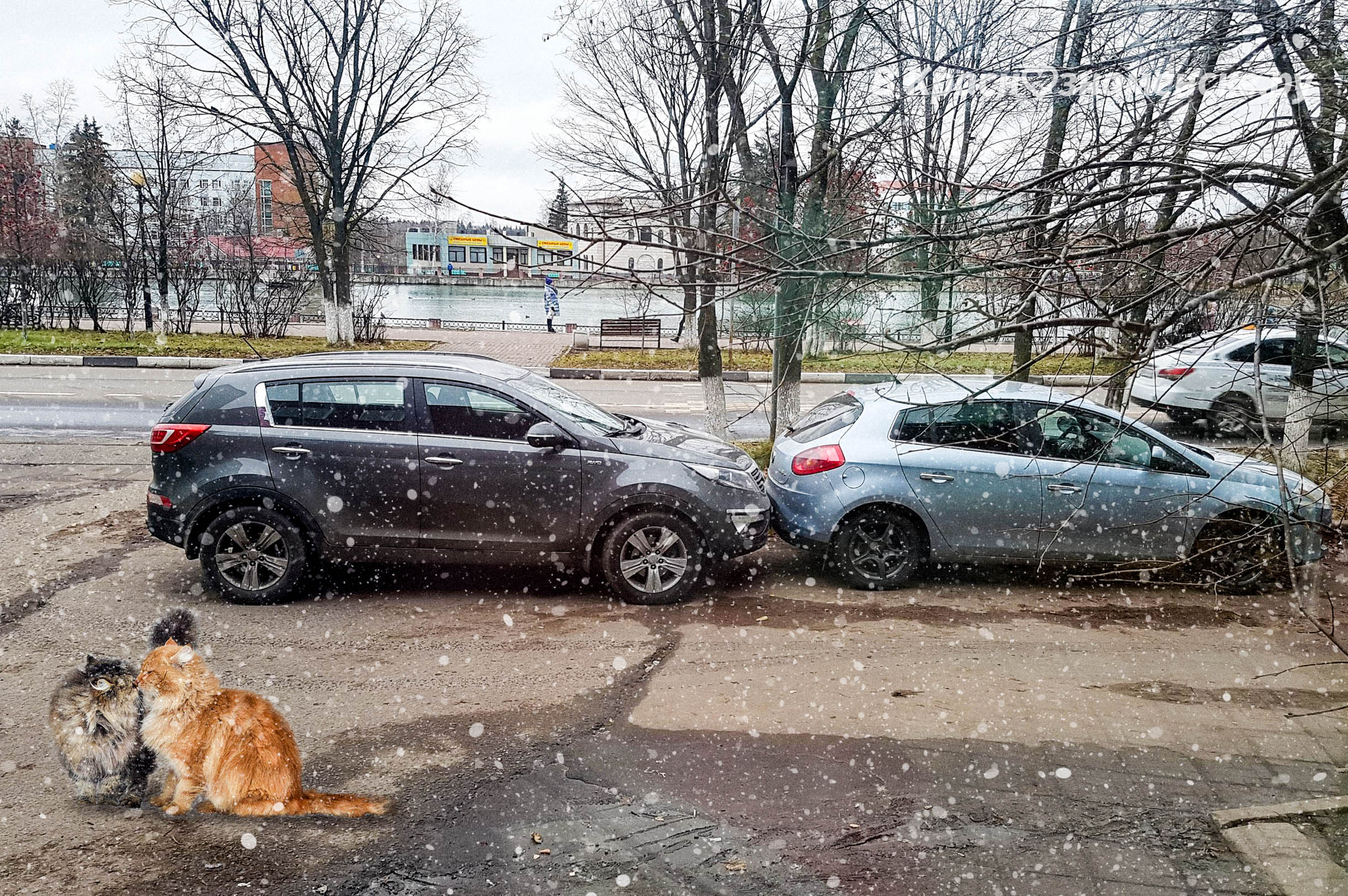 Романтика в Краснознаменске ???? Фото [id10532964|Максим Кот]