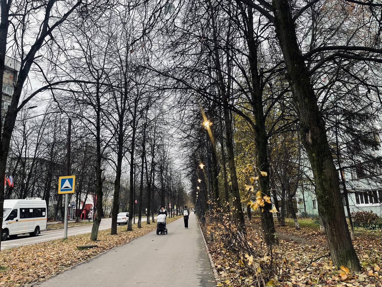 Прогулка по городу — Краснознаменск
