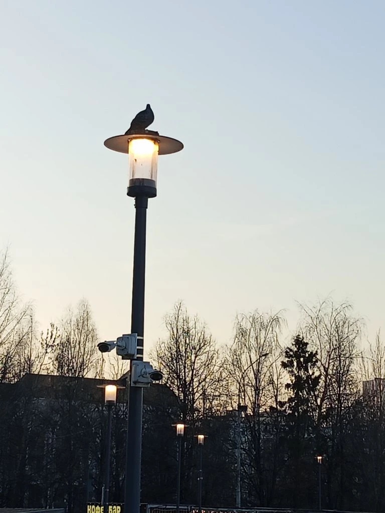 Вечерний Краснознаменск  (с) Елена  *Краснознаменск в других