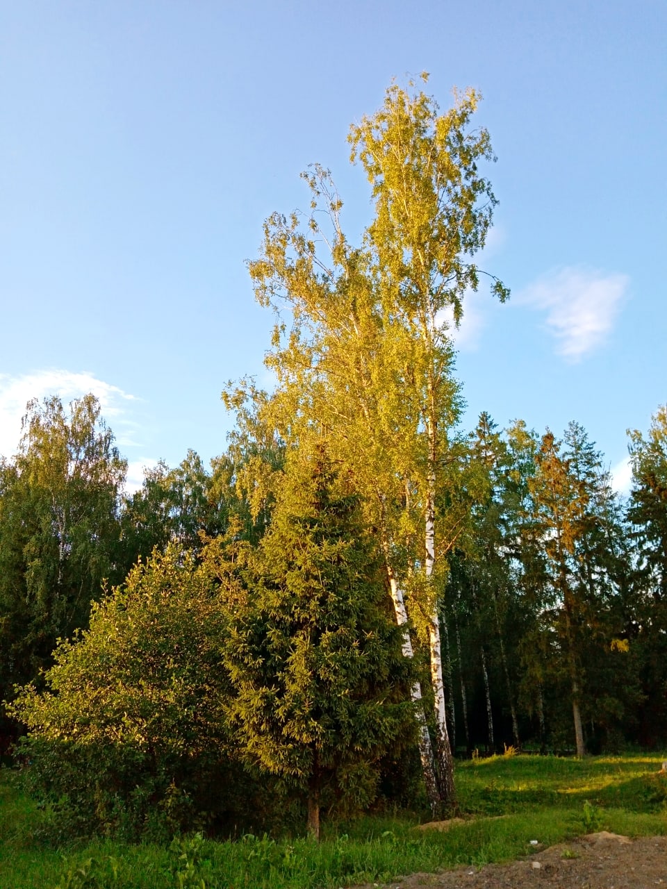 ???? Наталья Меняйлова — Краснознаменск