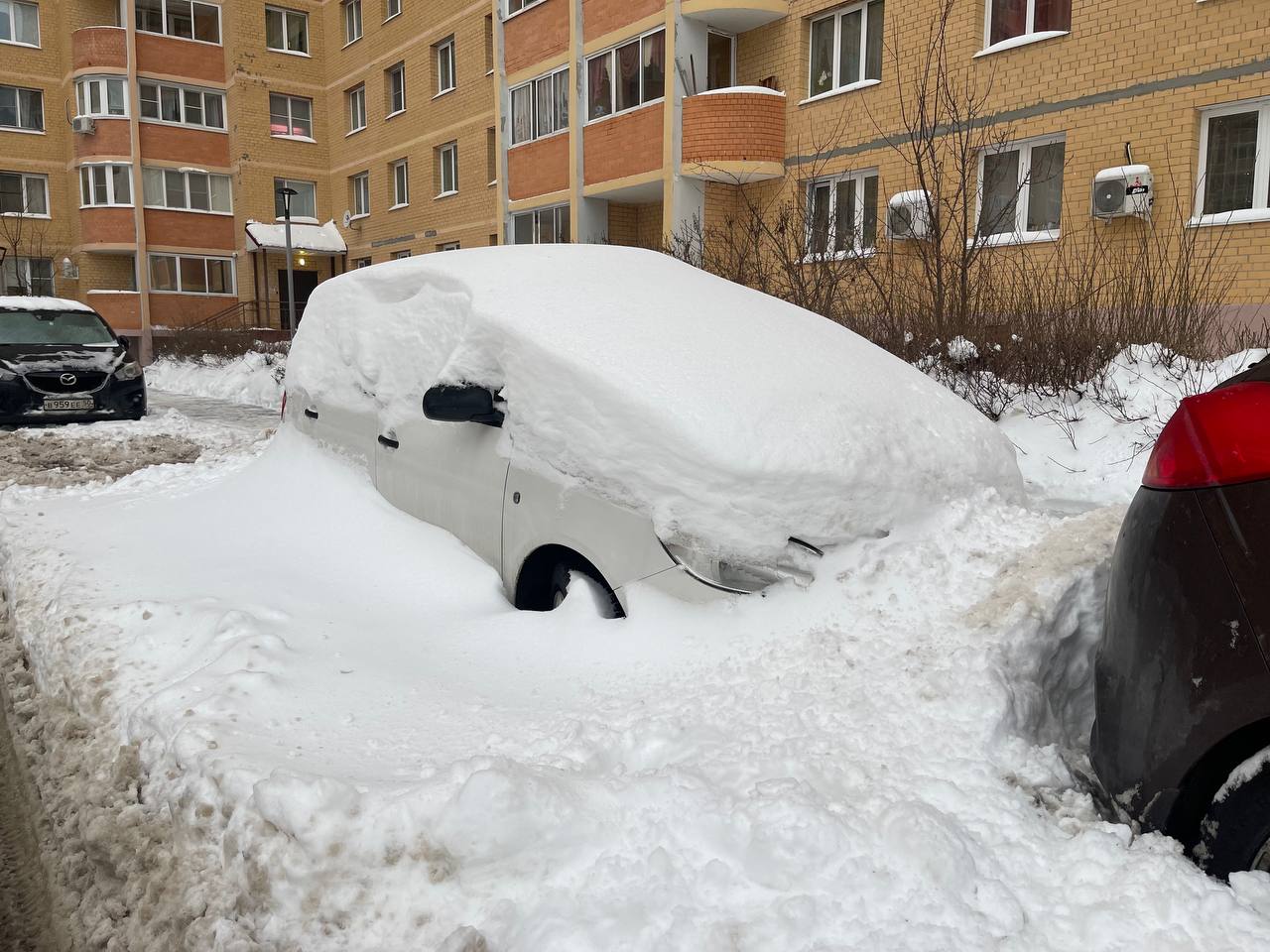 Подснежники — Краснознаменск