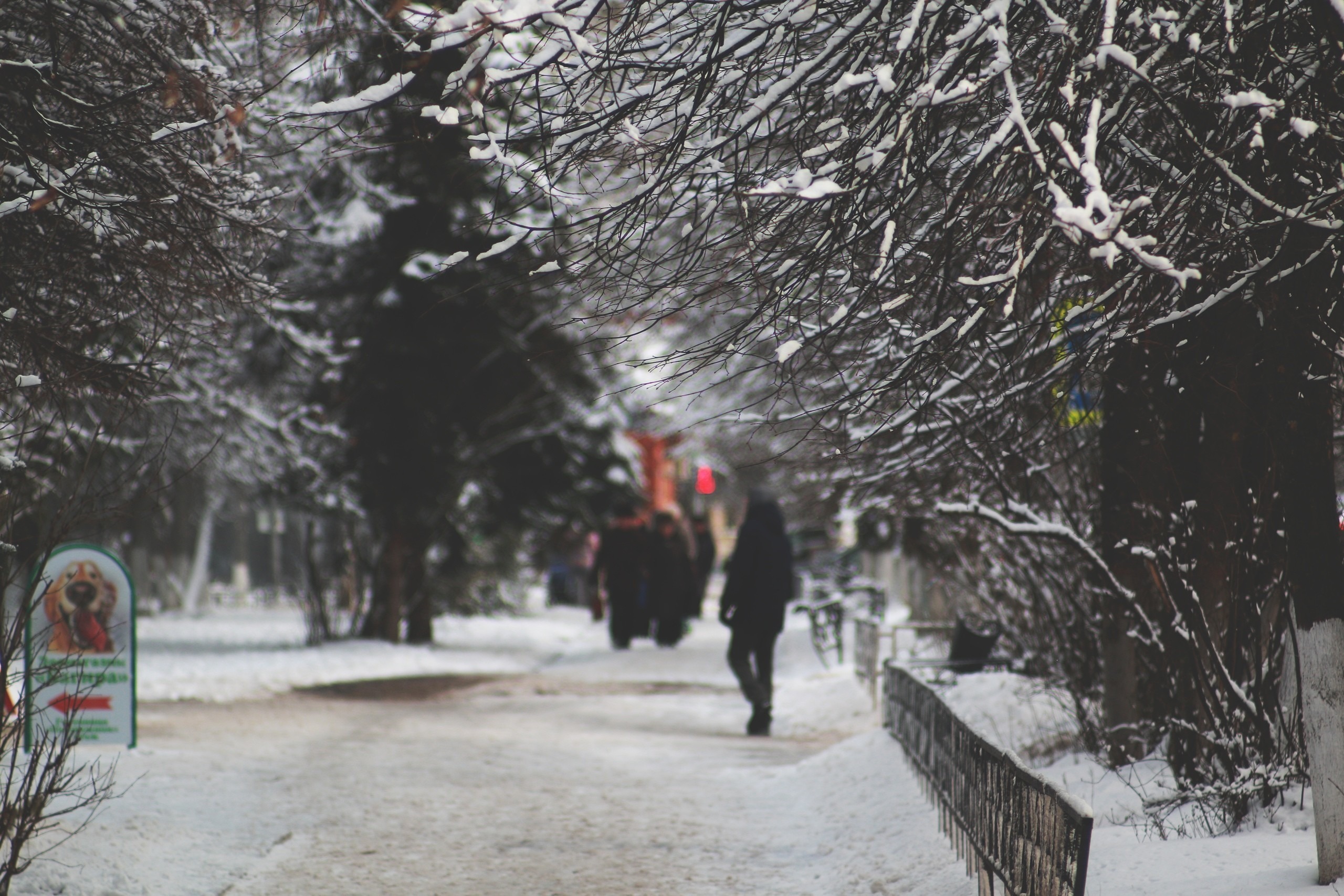 Доброе утро, Краснознаменск!❄ Утром 0°...+1°, Небольшой дожд