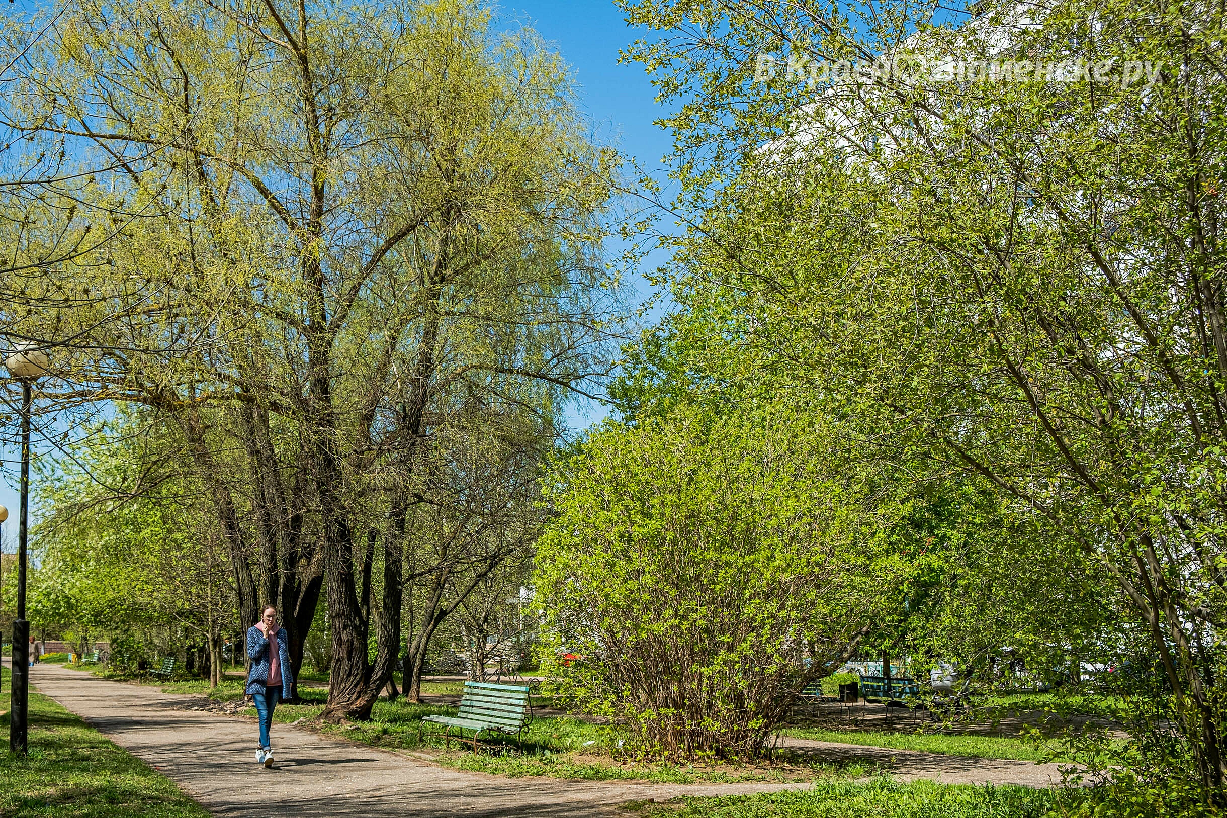 Доброе утро, Краснознаменск! Желаем вам насыщенных выходных)
